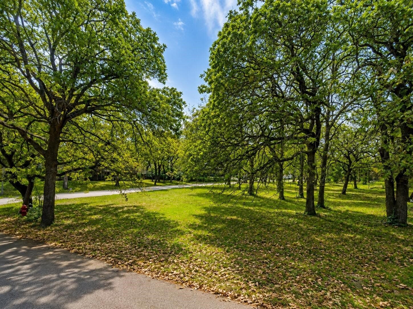 0.9 acres in Tarrant County - photo 7