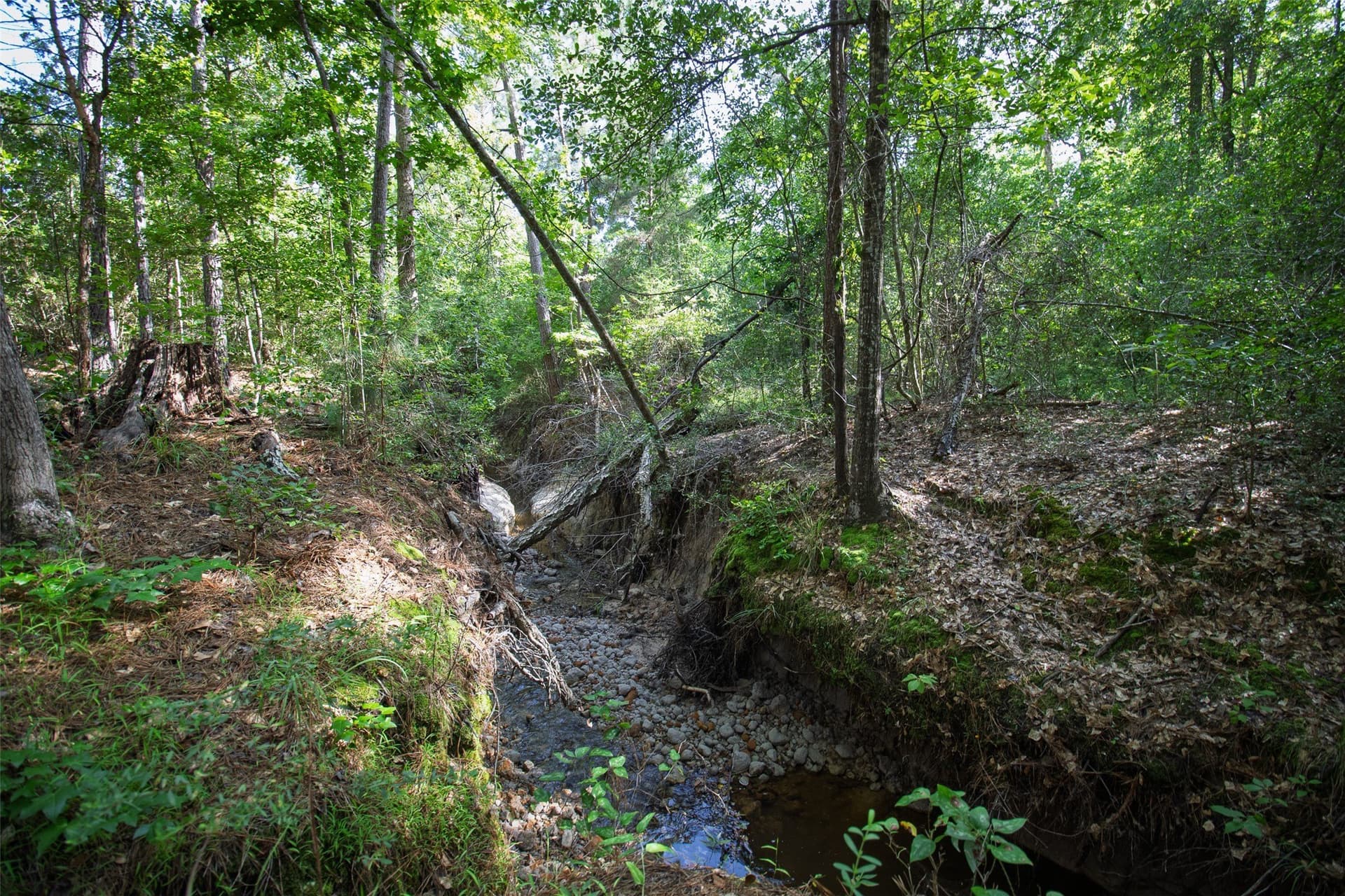 131.16 acres in Houston County - photo 7