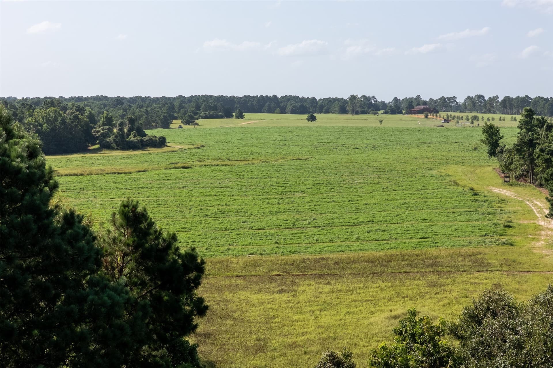 131.16 acres in Houston County - photo 17