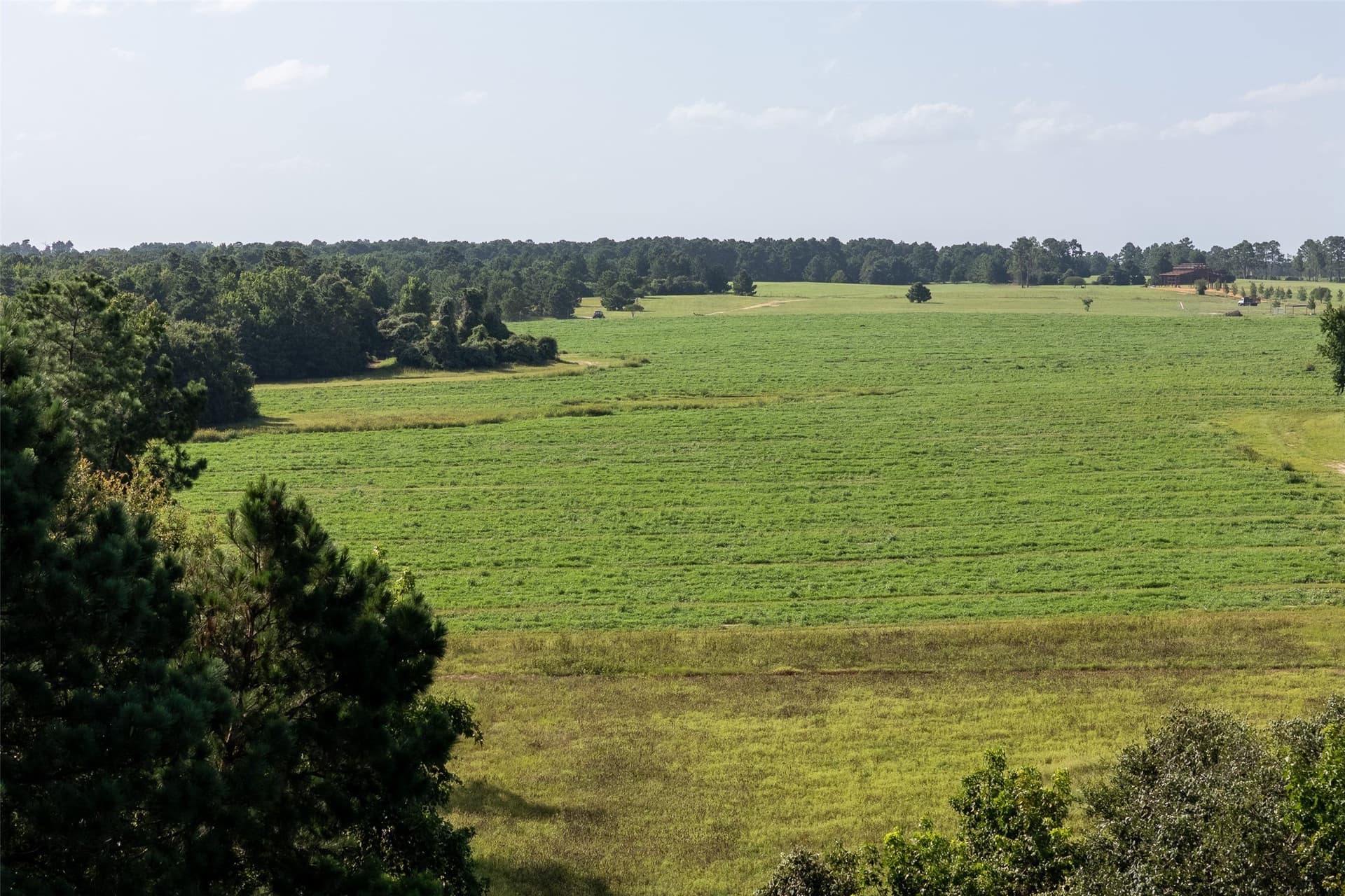 131.16 acres in Houston County gallery image 3