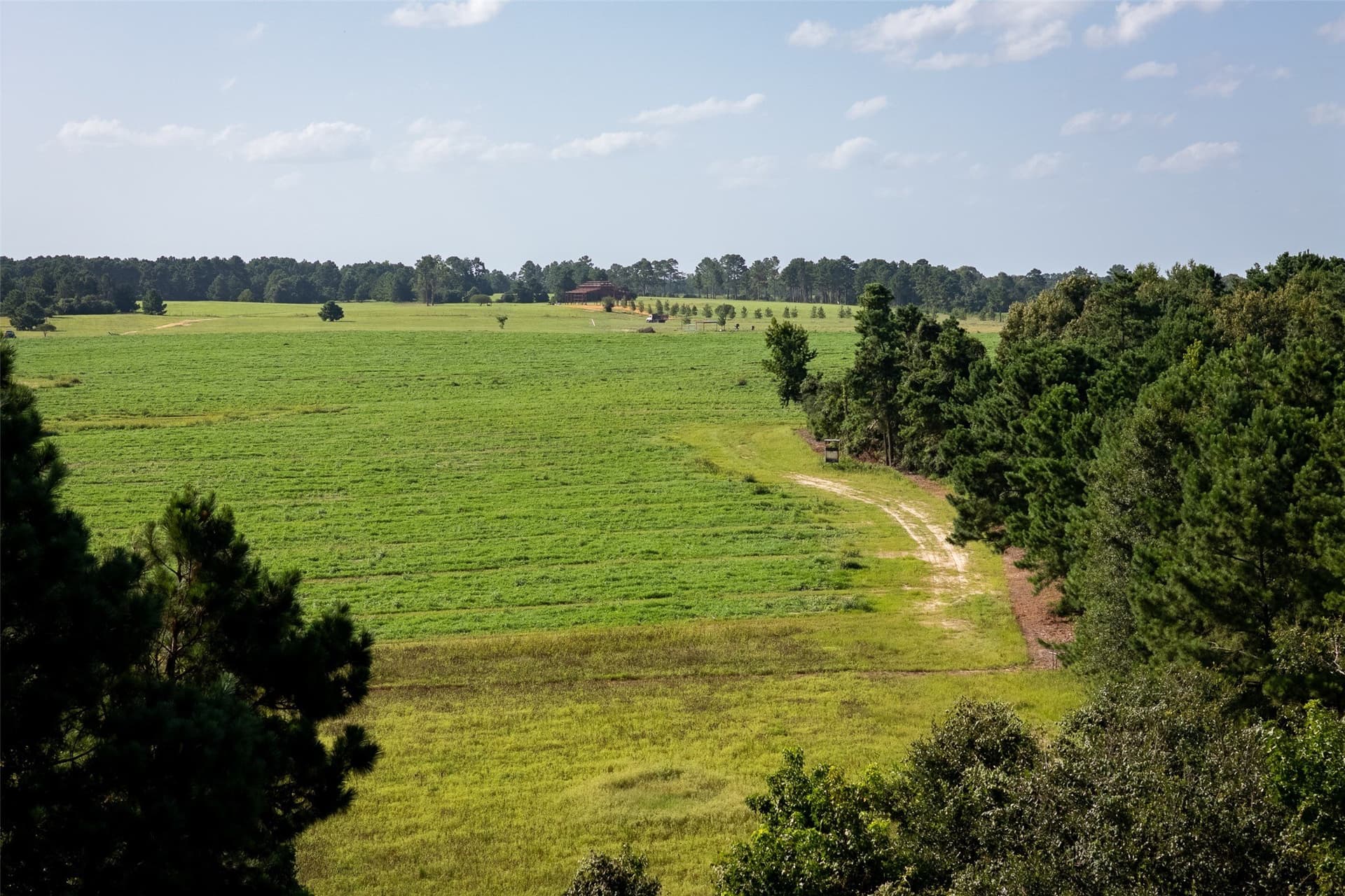 131.16 acres in Houston County - photo 18