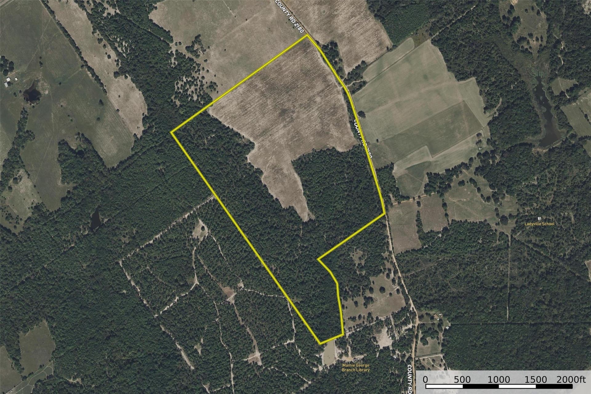 131.16 acres in Houston County - photo 19