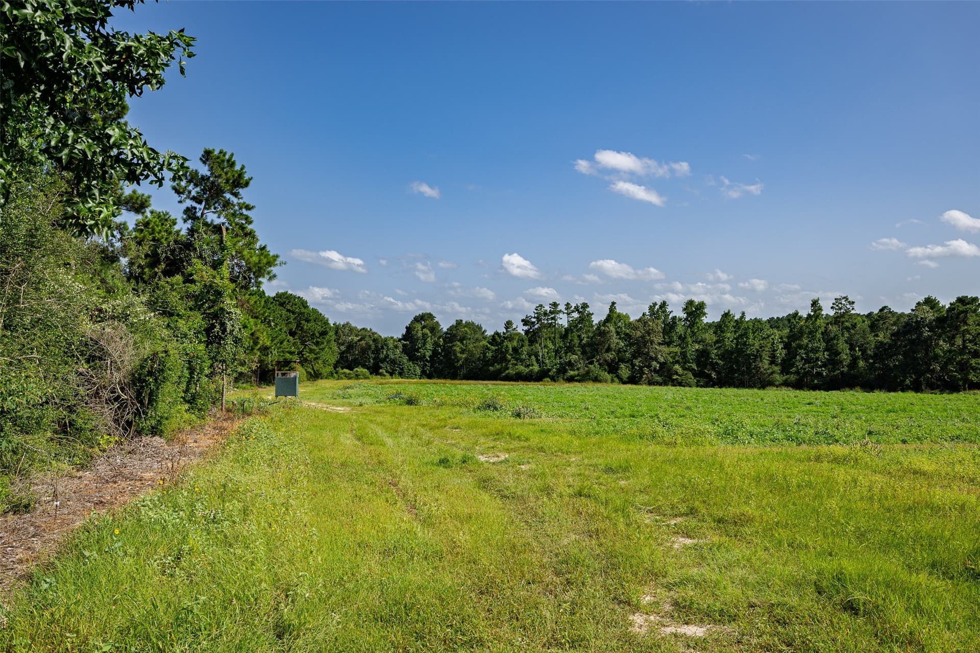 131.16 acres in Houston County - photo 11