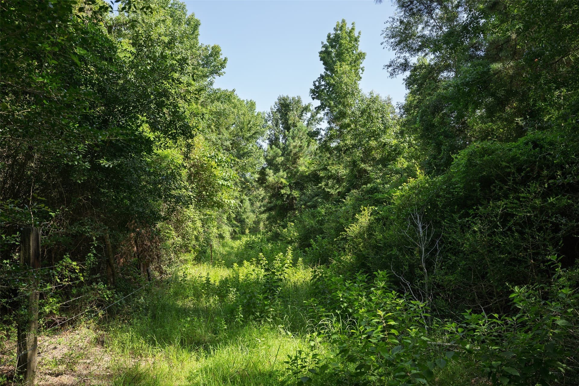 131.16 acres in Houston County - photo 8