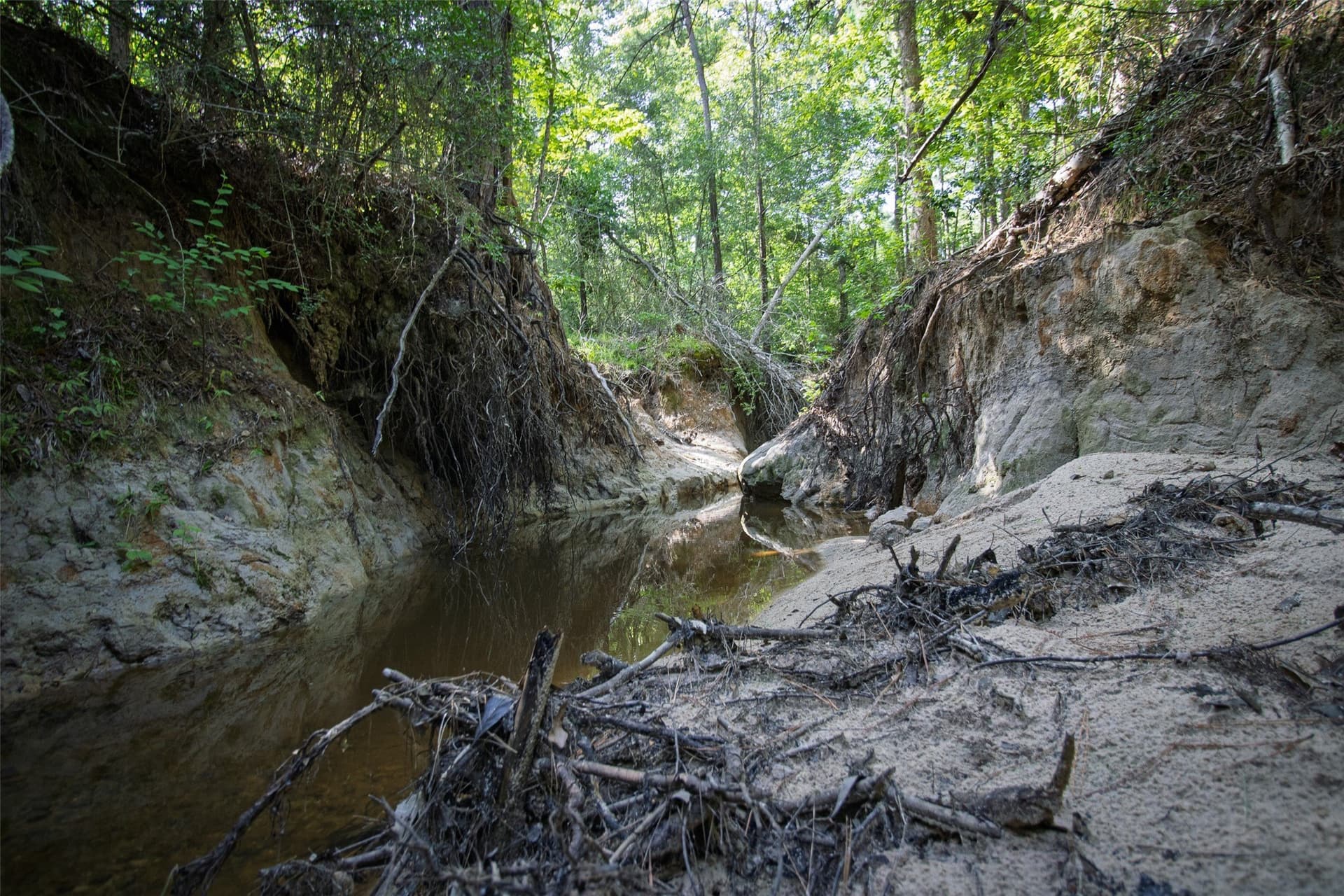 131.16 acres in Houston County gallery image 2