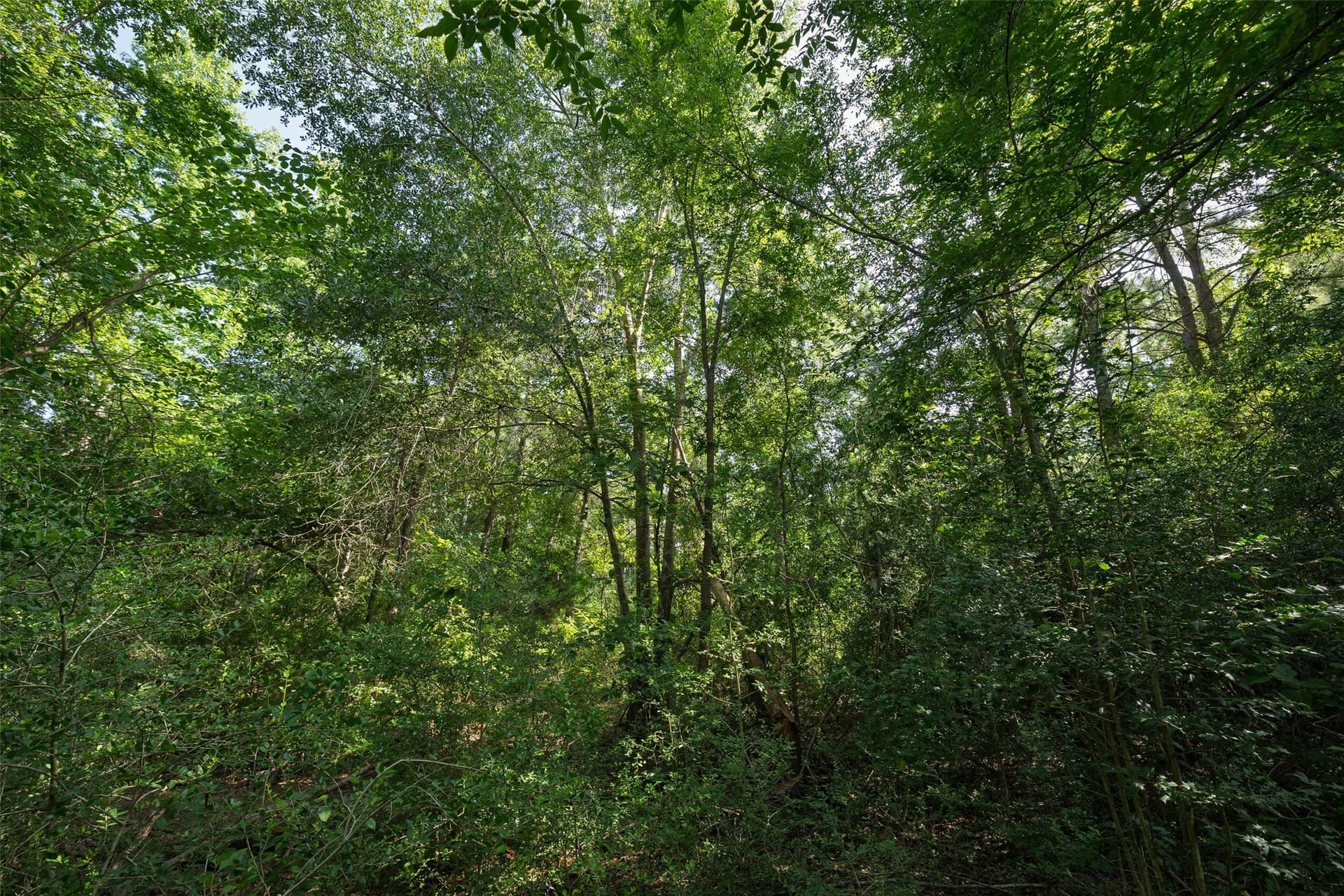 131.16 acres in Houston County - photo 9