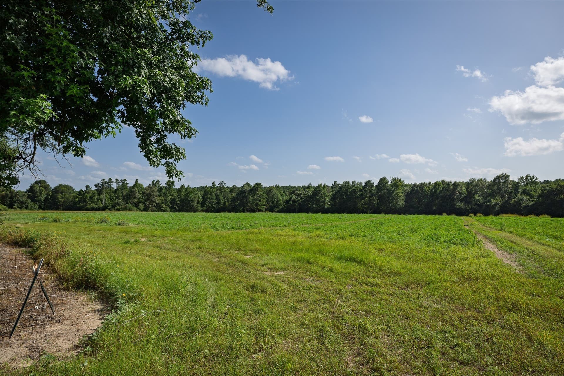 131.16 acres in Houston County - photo 10