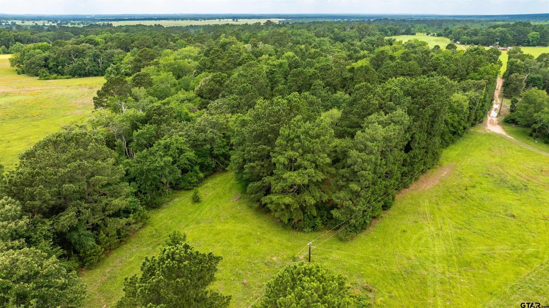 133.34 acres in Anderson County - photo 6