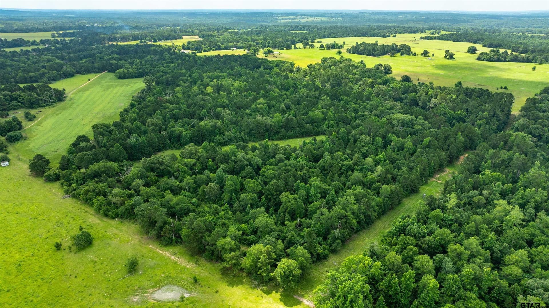 133.34 acres in Anderson County gallery image 4