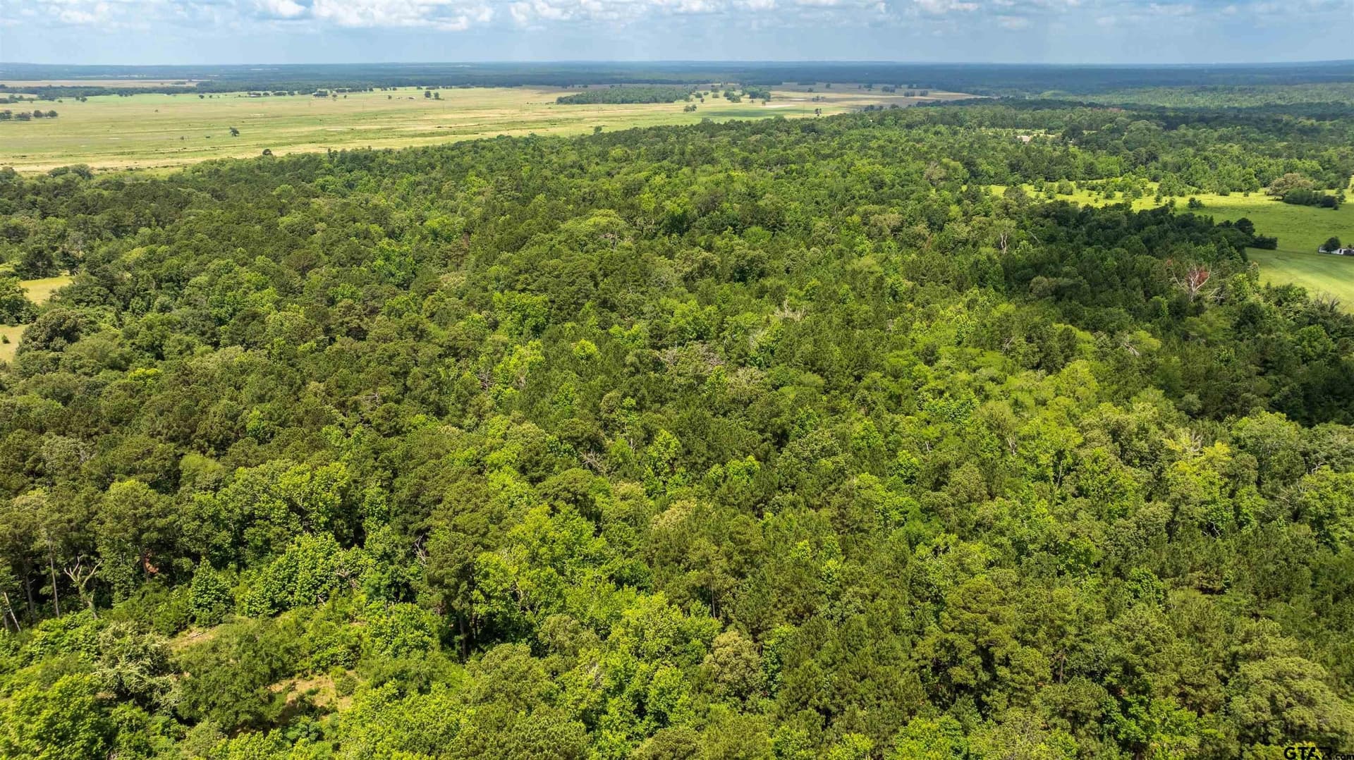 133.34 acres in Anderson County - photo 8