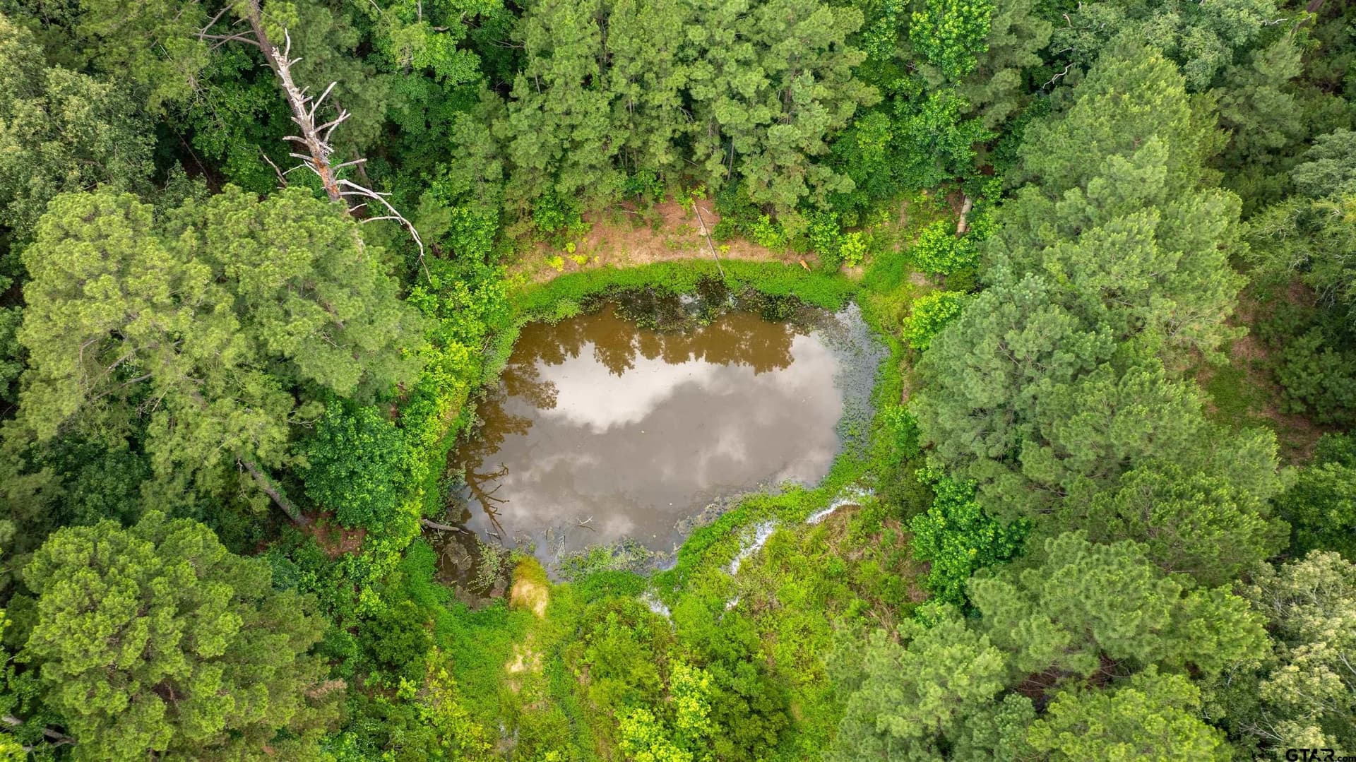 133.34 acres in Anderson County - photo 9
