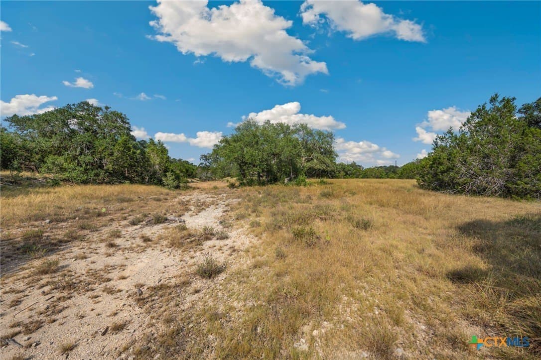 10.65 acres in Comal County gallery image 4