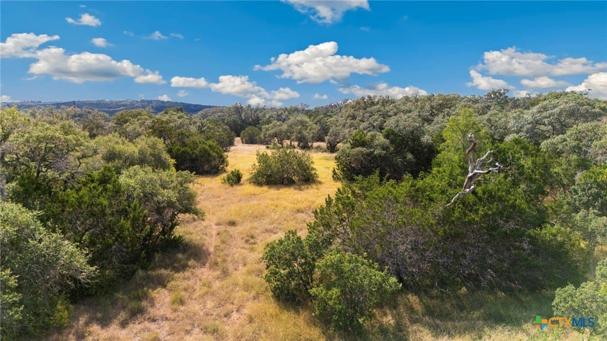 10.65 acres in Comal County gallery image 2