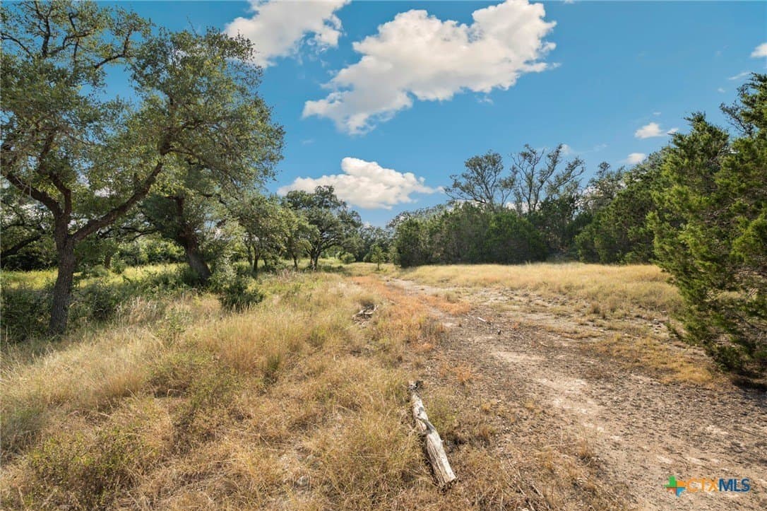 10.65 acres in Comal County gallery image 3