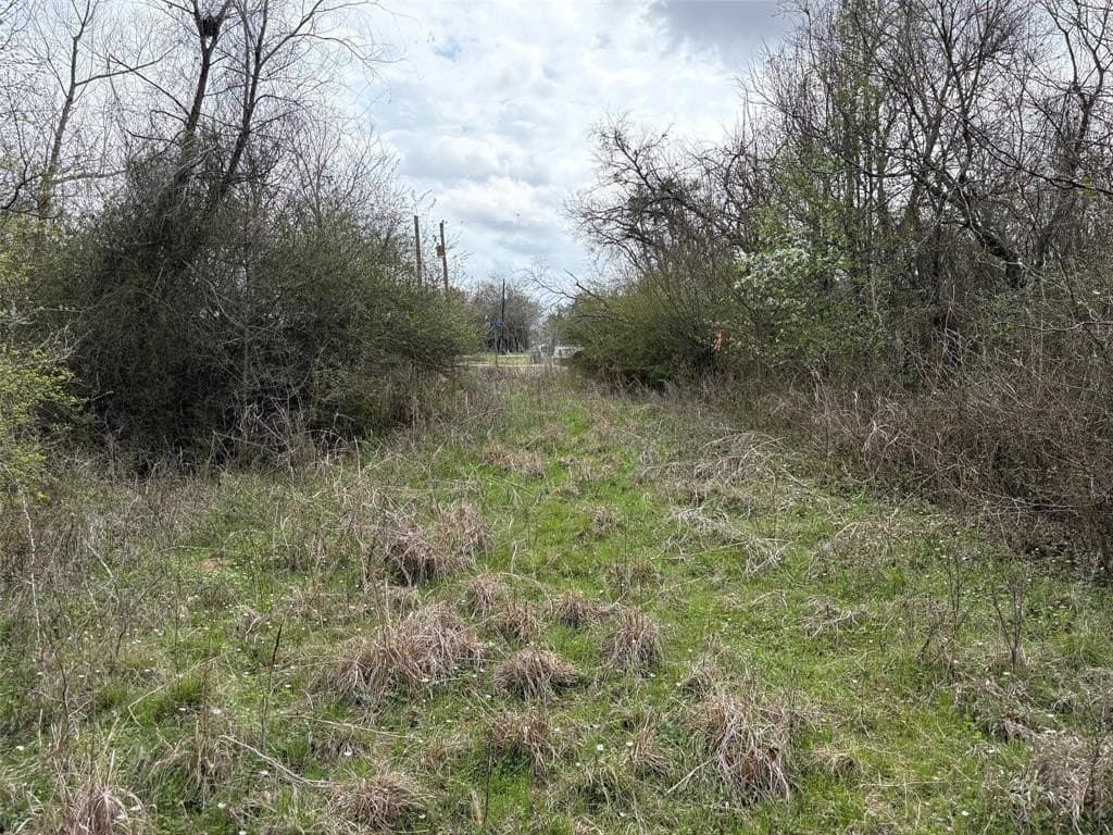 14.25 acres in Limestone County featured view