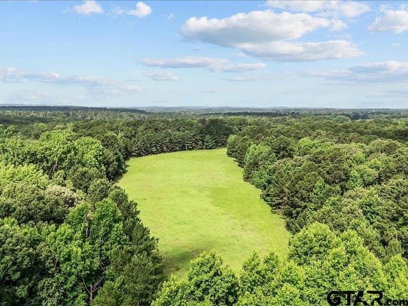 79.45 acres in Anderson County - photo 6