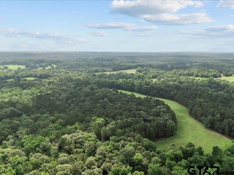 79.45 acres in Anderson County - photo 12