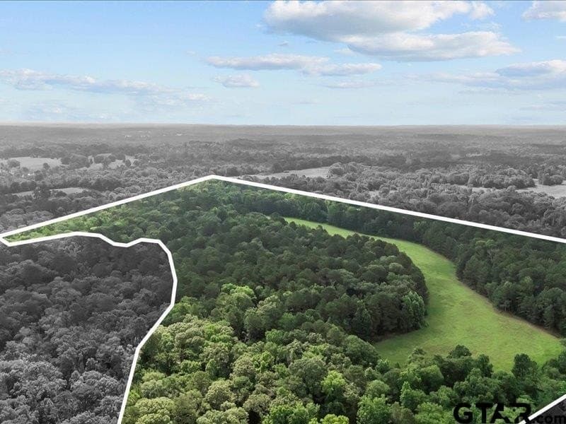 79.45 acres in Anderson County