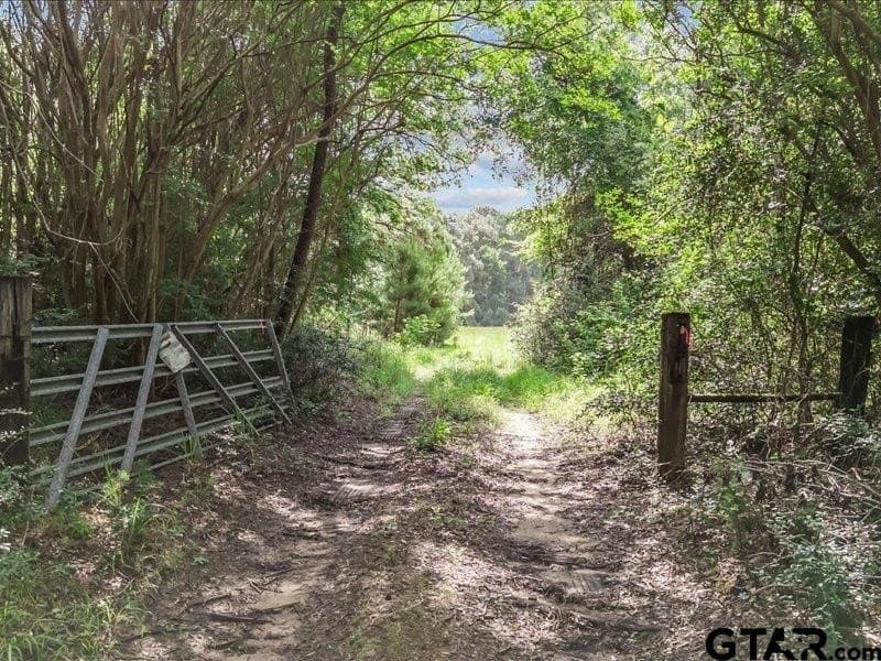 79.45 acres in Anderson County - photo 2