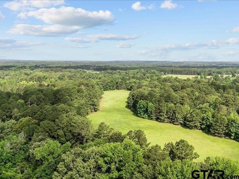 79.45 acres in Anderson County - photo 7