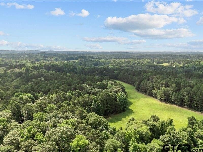 79.45 acres in Anderson County - photo 8
