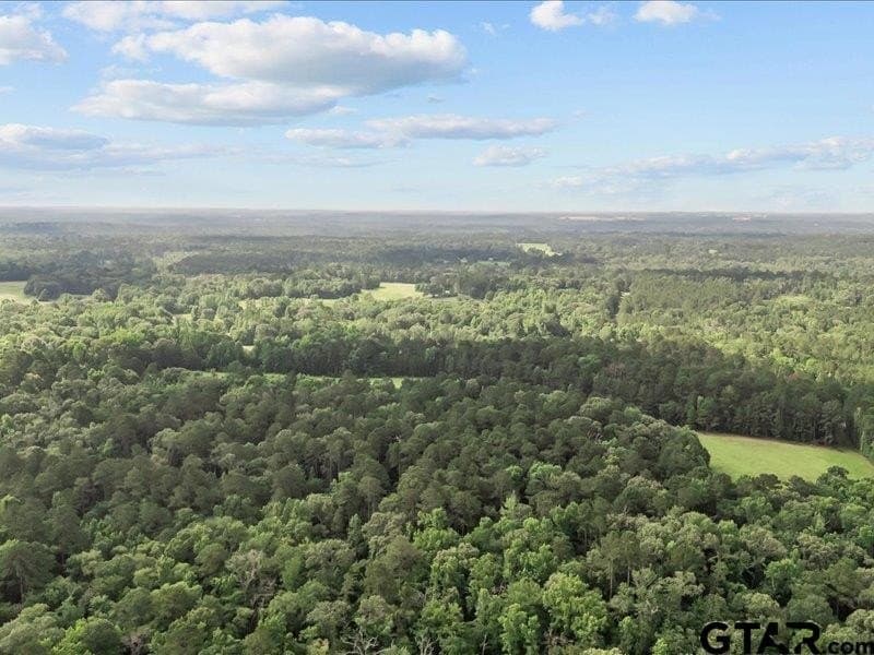 79.45 acres in Anderson County - photo 9