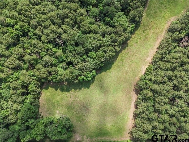 79.45 acres in Anderson County - photo 11
