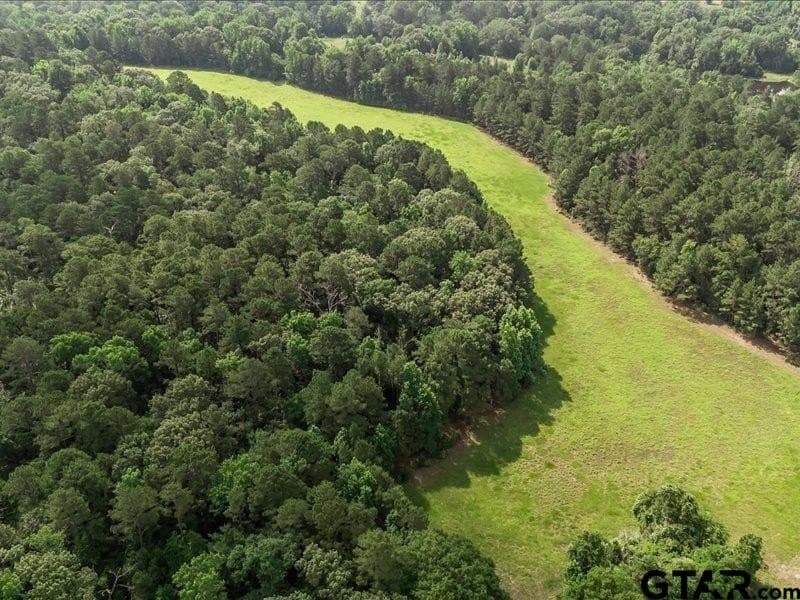 79.45 acres in Anderson County - photo 10