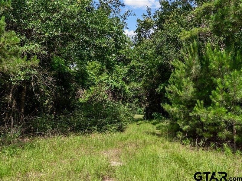 79.45 acres in Anderson County - photo 3