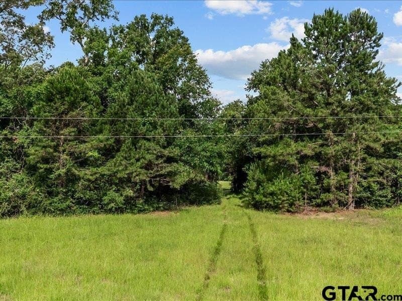79.45 acres in Anderson County - photo 4