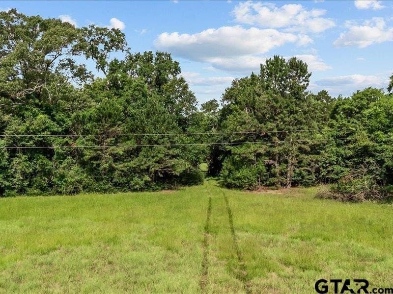 79.45 acres in Anderson County - photo 5