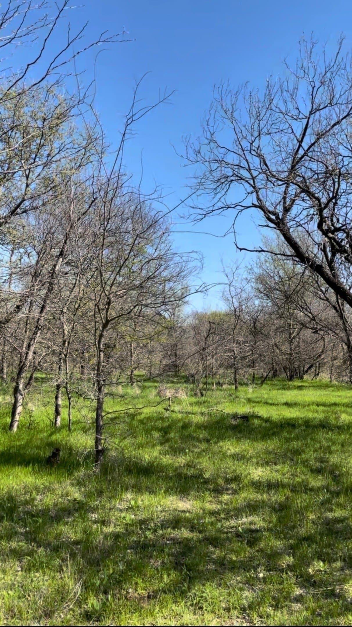 1.89 acres in Wise County - photo 7