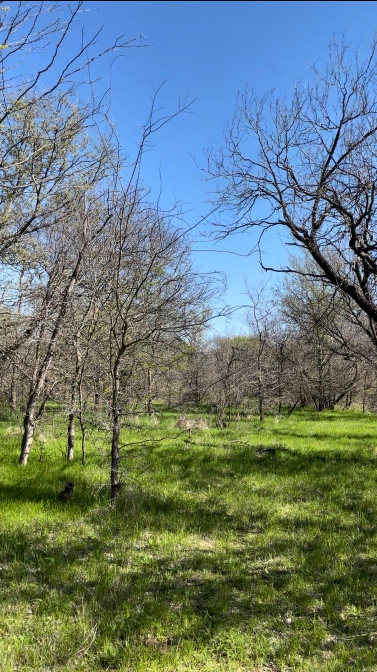 1.89 acres in Wise County - photo 2