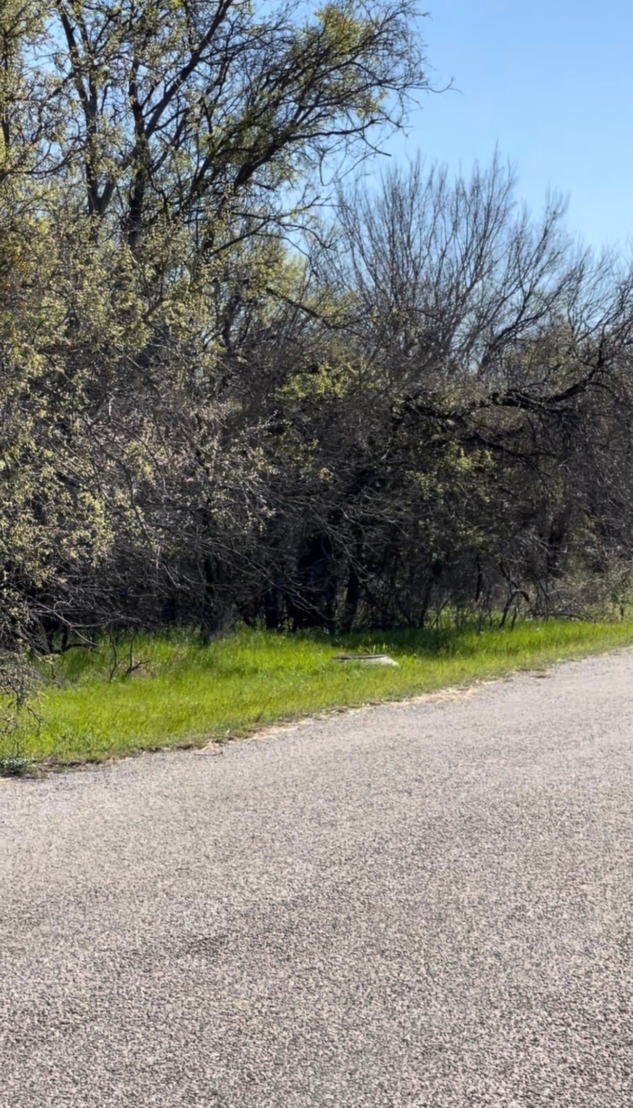1.89 acres in Wise County - photo 6