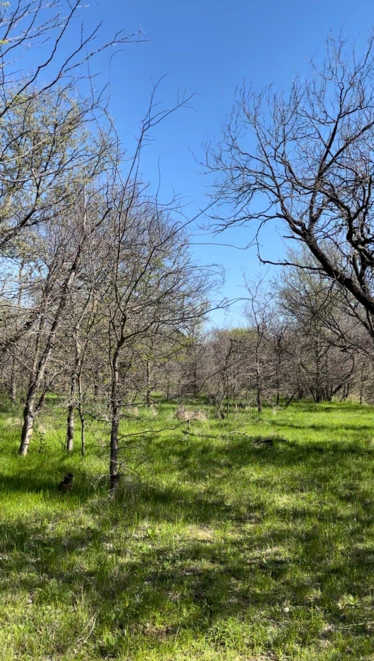 1.89 acres in Wise County - photo 4