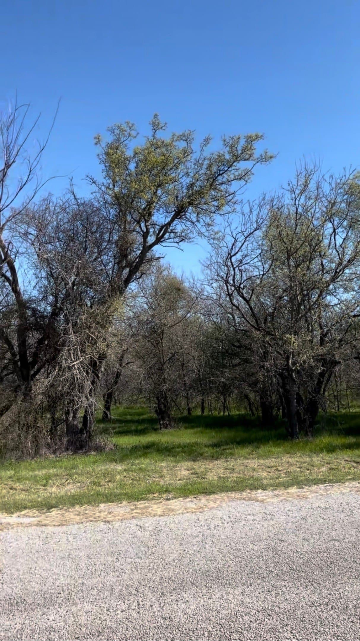 1.89 acres in Wise County - photo 5