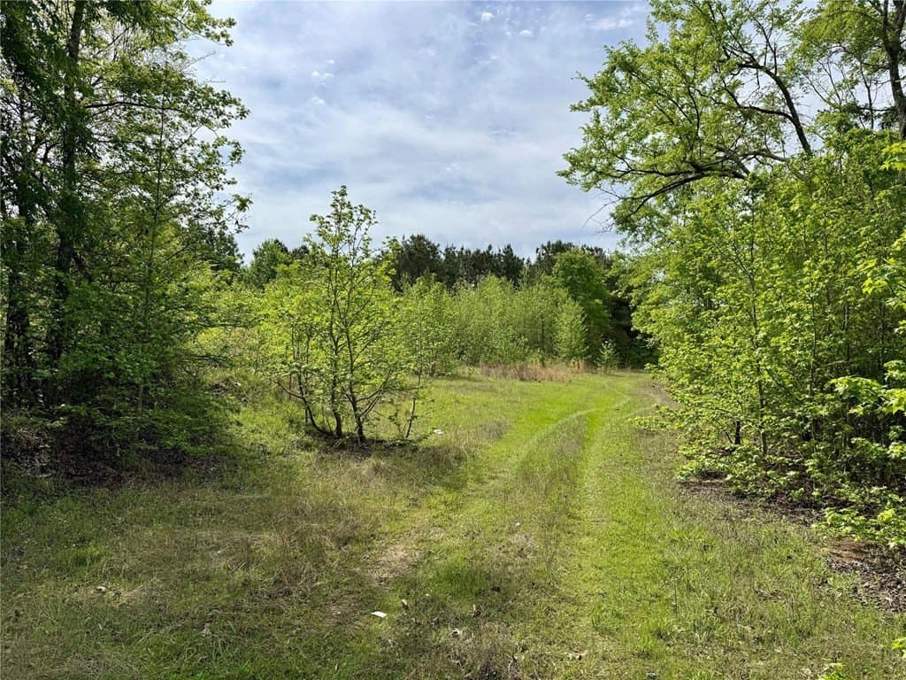 50.13 acres in Cass County gallery image 3