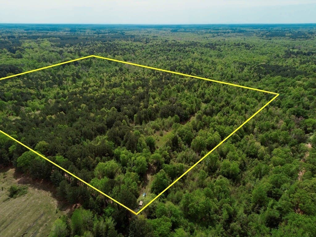 50.13 acres in Cass County gallery image 4