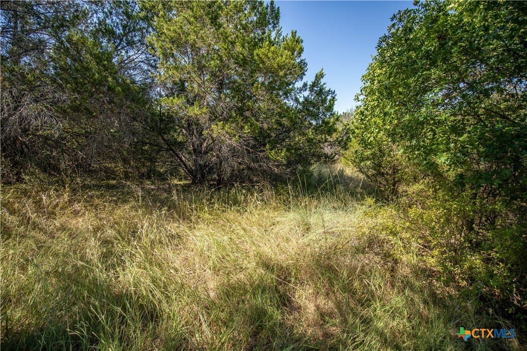 9.58 acres in Bell County - photo 25