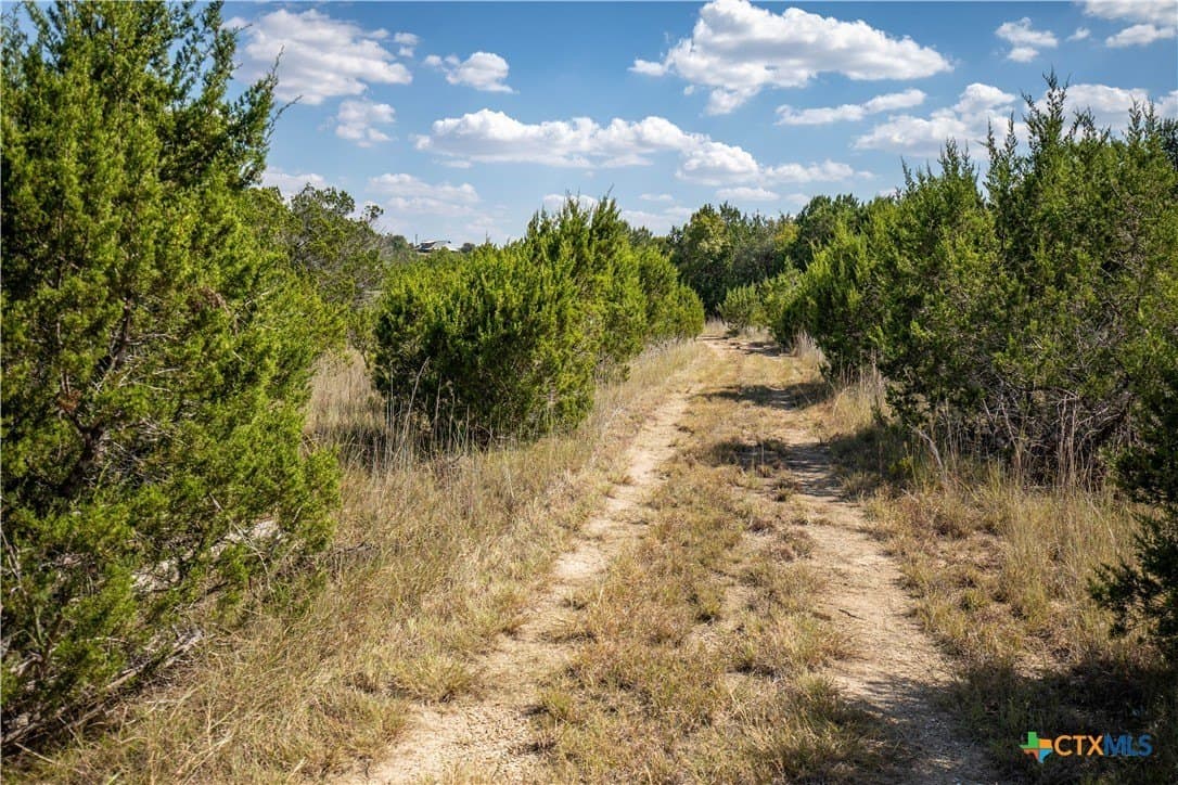 9.58 acres in Bell County - photo 13