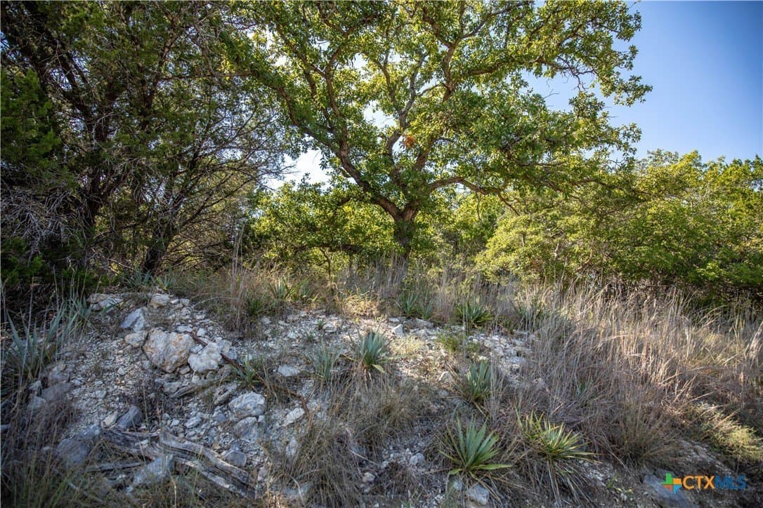 9.58 acres in Bell County - photo 34