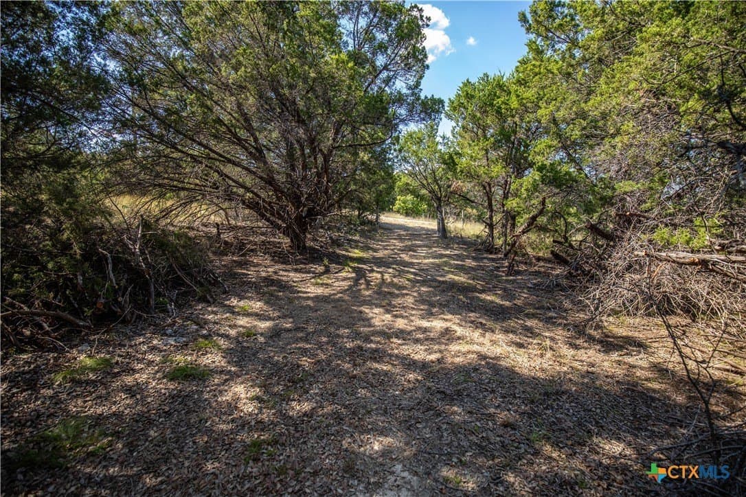 9.58 acres in Bell County - photo 31