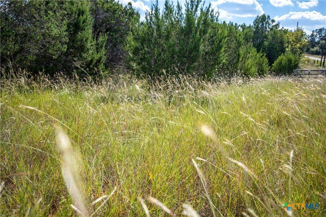 9.58 acres in Bell County - photo 30