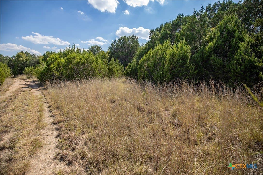 9.58 acres in Bell County - photo 14