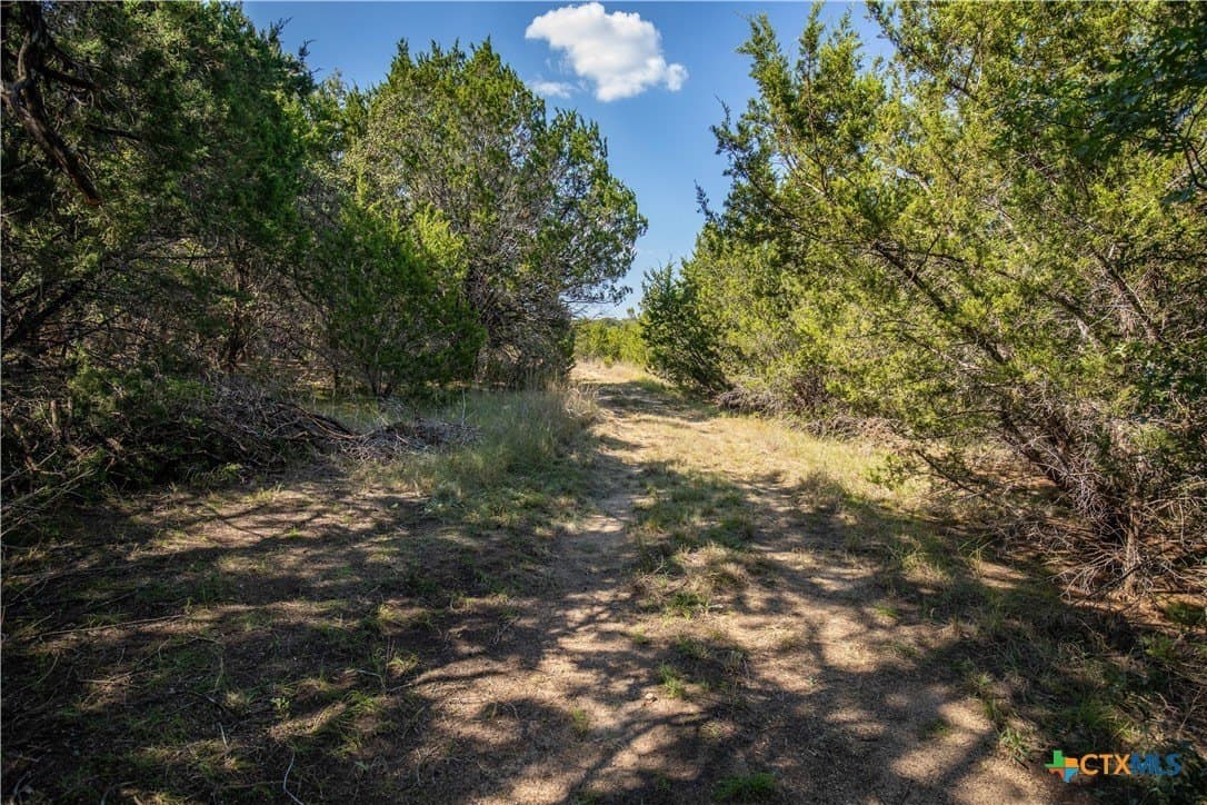 9.58 acres in Bell County - photo 26