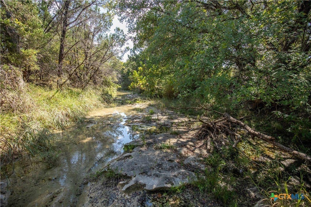 9.58 acres in Bell County - photo 22