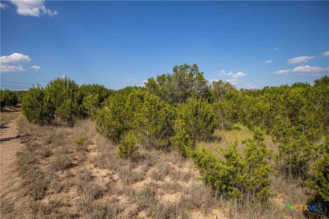 9.58 acres in Bell County - photo 28