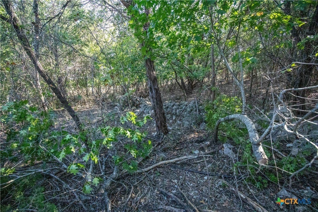 9.58 acres in Bell County - photo 35