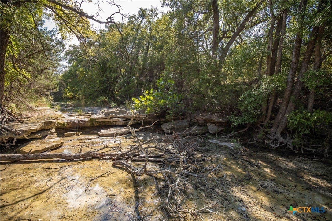 9.58 acres in Bell County - photo 21