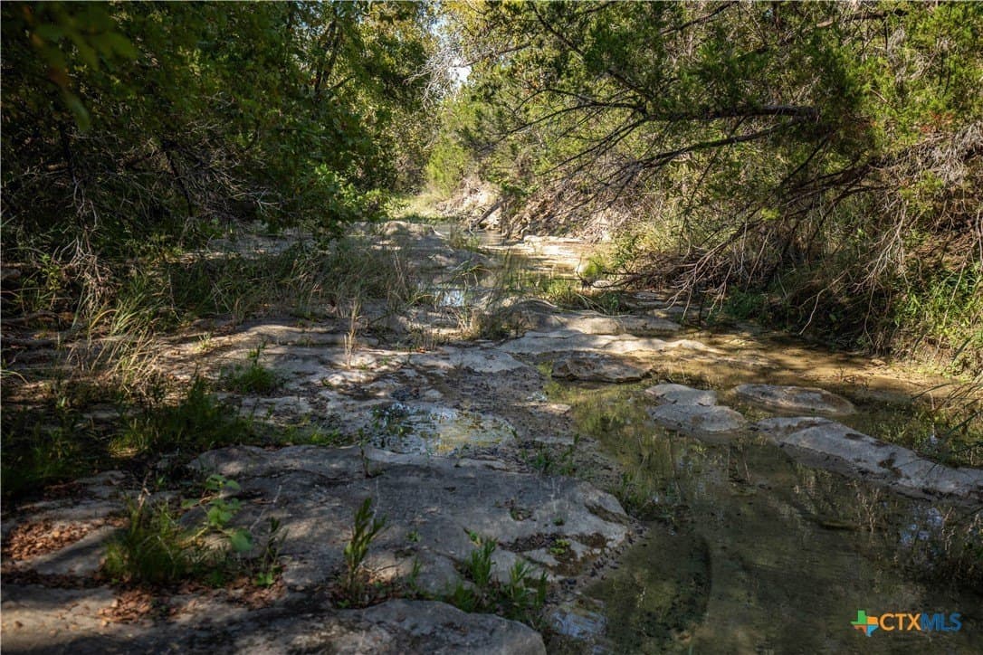 9.58 acres in Bell County - photo 23